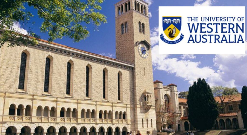  This is an iconic Winthrop Hall at the University of Western Australia, with its distinguished Romanesque architecture featuring a grand clock tower and arched cloisters. The clear blue sky complements the warm sandstone of the building, symbolizing the university’s blend of tradition and academic excellence.