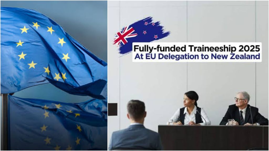 Two EU flags wave in the sky. On the right, a banner reads: "Fully-funded Traineeship 2025 at EU Delegation to New Zealand," with three people seated at a table below.